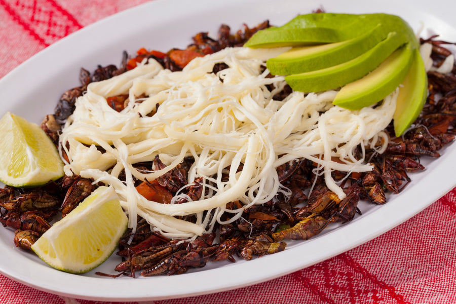 Chapulines A La Mexicana