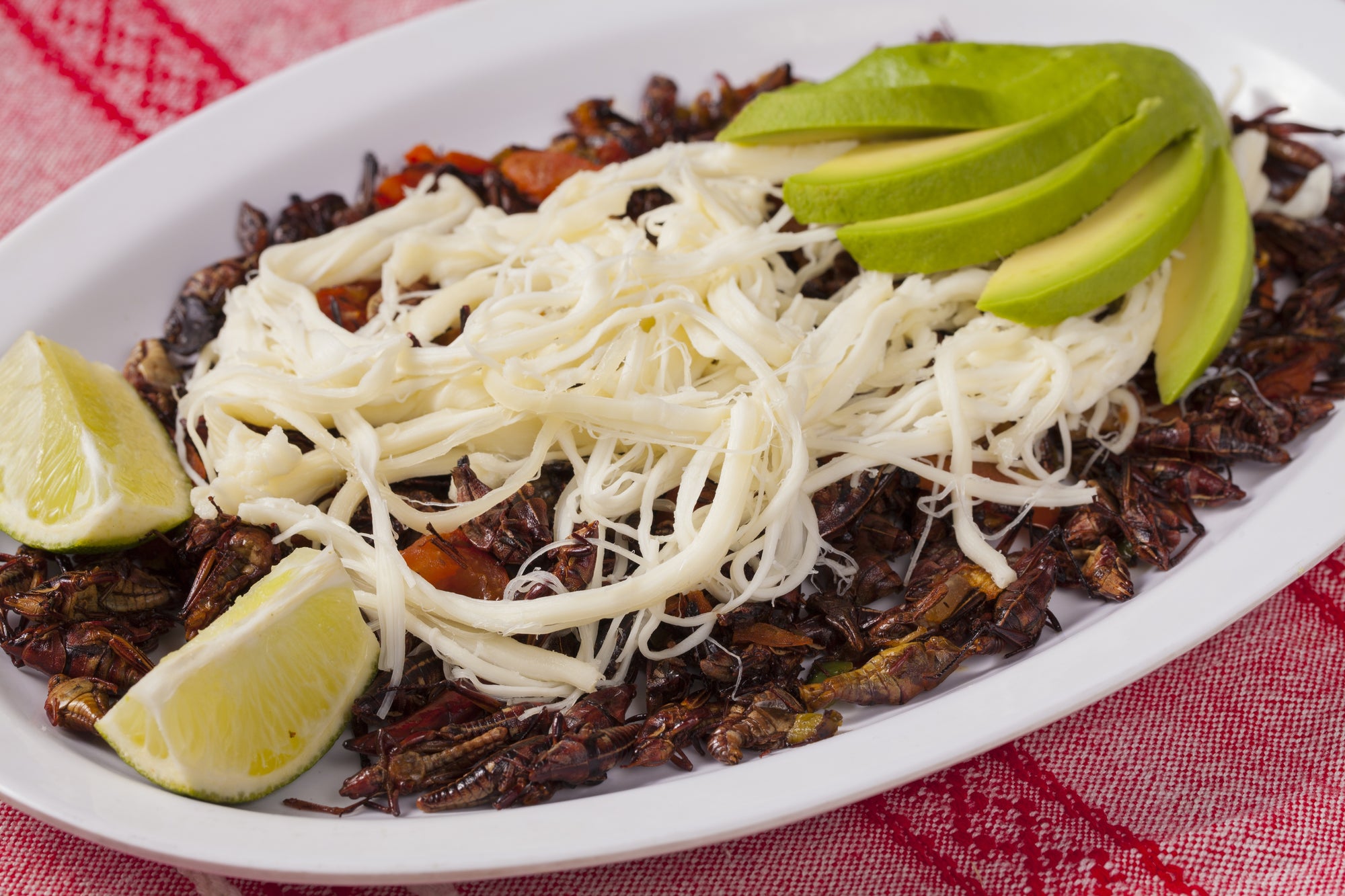 Chapulines - Grasshoppers Real de Oaxaca 2 oz