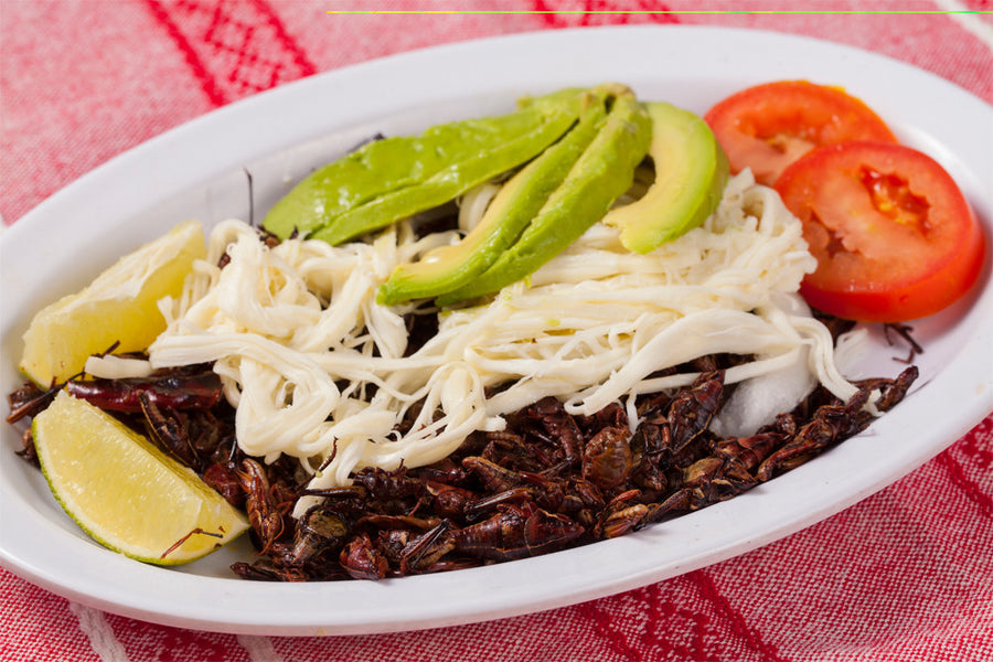 Plato De Chapulines